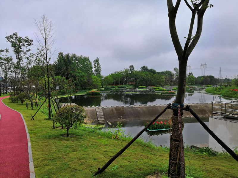 王建溝-2.jpg